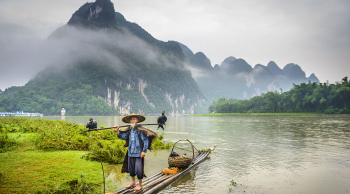 Cormorant fisherman and his birds on the Li River in Yangshuo, Guangxi, China