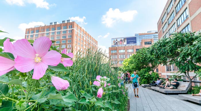 High Line Park