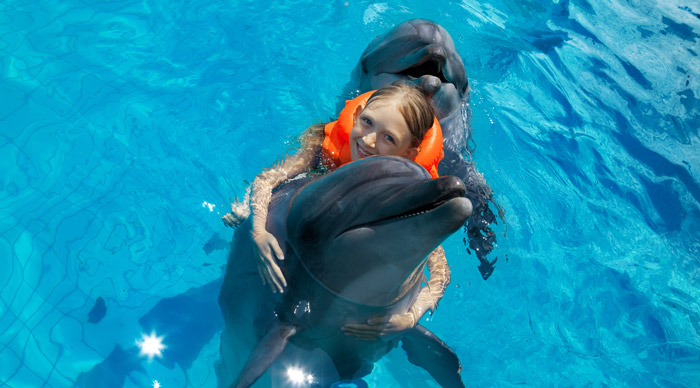 Swimming with Dholphins Zanzibar