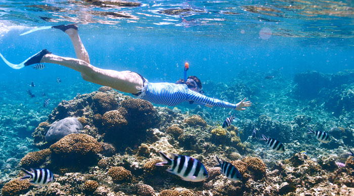 Seychelles Diving