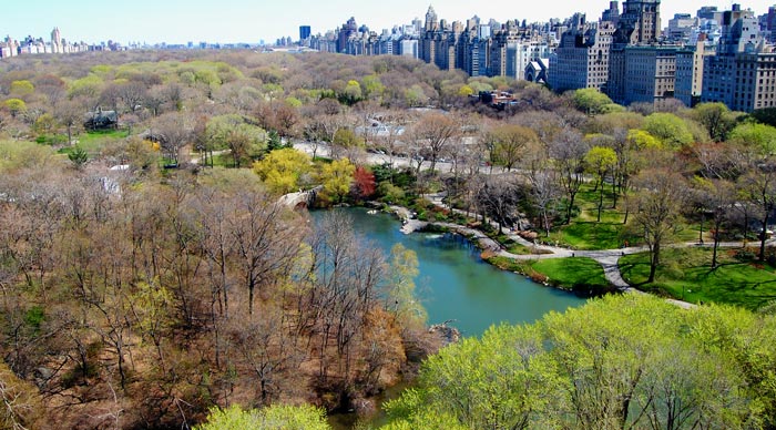 View of Central Park