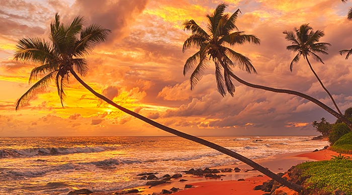 Sunset over the beach in Sri Lanka