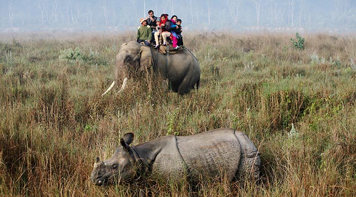 Tourists enjoying on an elephant safari in Chitwan National Park