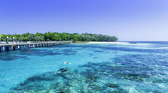 Tourist diving in the great barrier reef Australia