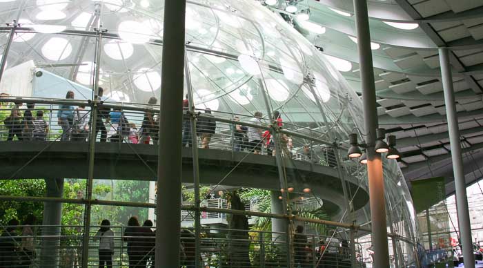 California Academy of Science in San Francisco