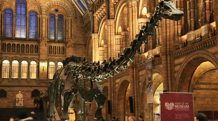 The Natural History Museum in London
