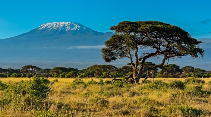 Amboseli National Park