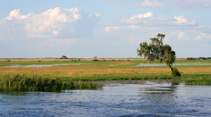 River Zambesi Tour