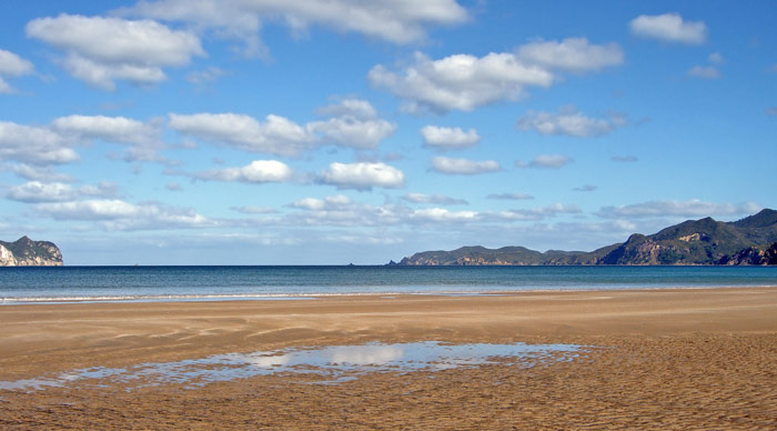 Great Barrier Island New Zealand