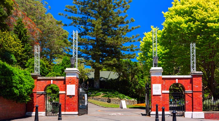 Wellington Botanic Garden