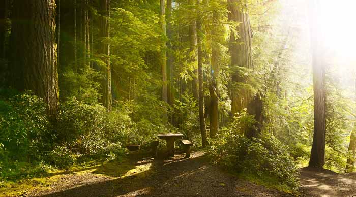 Olympic America National Park in the US